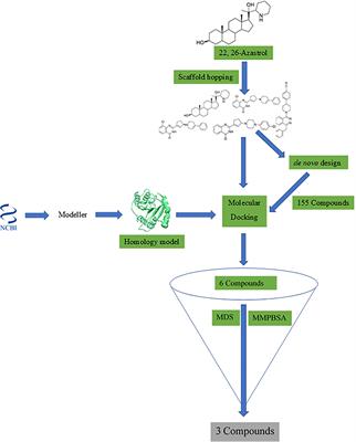 Homology Modeling, de Novo Design of Ligands, and Molecular Docking Identify Potential Inhibitors of Leishmania donovani 24-Sterol Methyltransferase